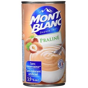 Mont blanc crème praliné 570g