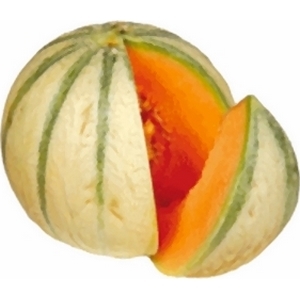 Melon de guadeloupe (1,100-1,400) la pièce