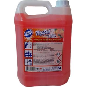 Détergent désinfectant surodorant TopSol ambiance fruitée 5l
