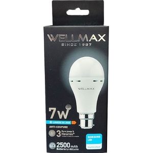 Wellmax ampoule à vis anti-coupure 7w 1200mAh 650lm
